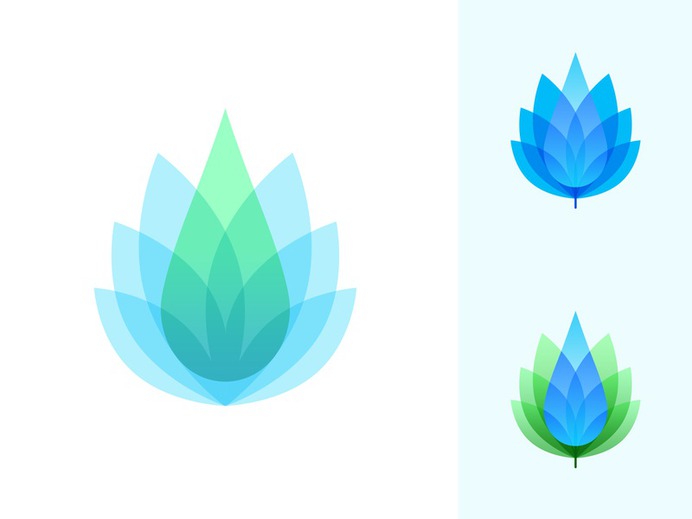 Hemp Brand Identity vector logotype logo identity branding typogaphy packing marijuana hemp label cannabis brand identity brand assets oil drops logodesign visual identity brandbook packagedesign logo mark design logo icon label packaging