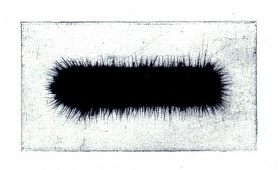 Signed Numbered #art #printmaking
