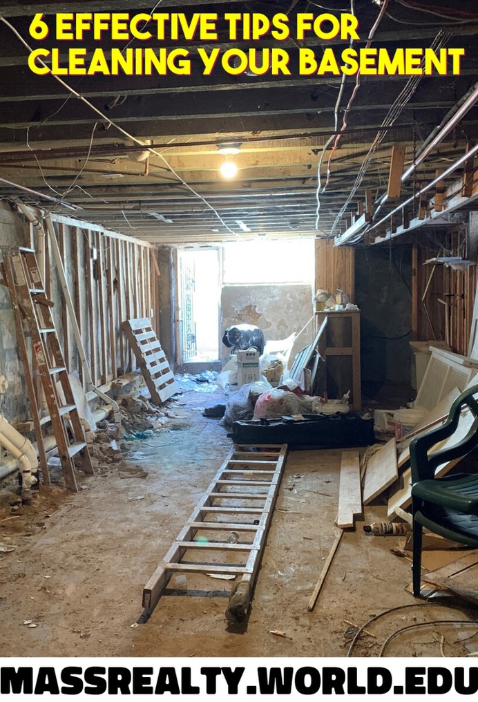 Best Tips For Cleaning a Basement Infographic