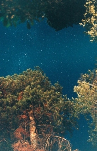 Ryan McGinley #photography #ryan #mcginley