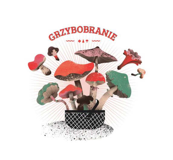 Go Mushrooming with This Way-Too-Cute Polish Board Game : MOLD :: Designing the Future of Food