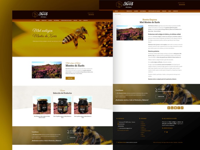 Diseño web Paginas web user interface ux uy Web Design  web developer