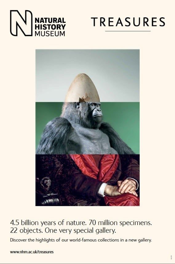 Beautiful Natural History Museum Posters