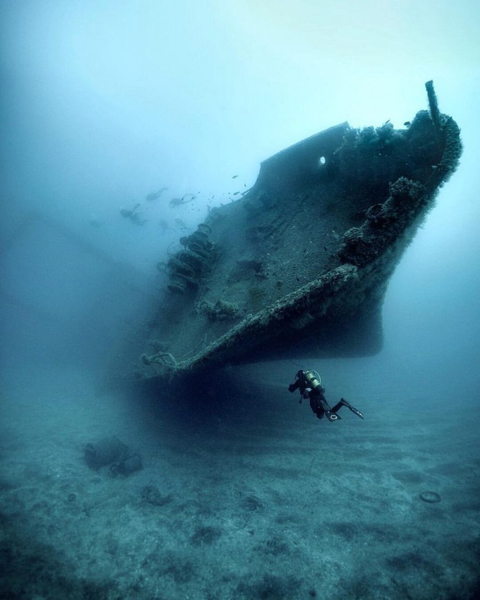 Spectacular Underwater Photography by Alex Dawson
