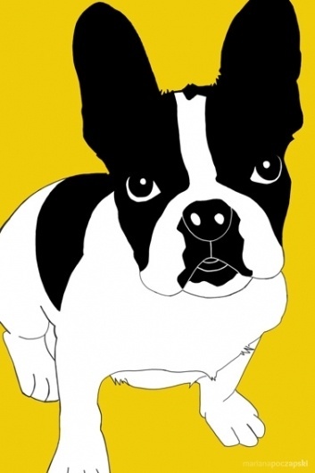 Batdog #bulldog #illustration #yellow #dog