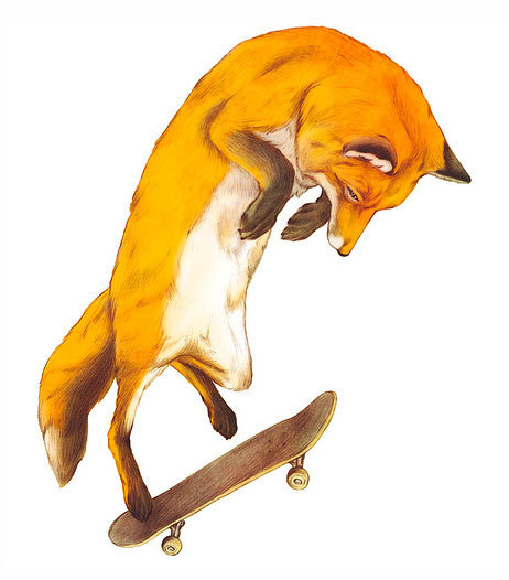 Fox doing the impossible! Illustration by Giuseppe Modica. More inspiring illustrations. __posted by weandthecolor // facebook // twitt #skateboard #illustration #skate #fox