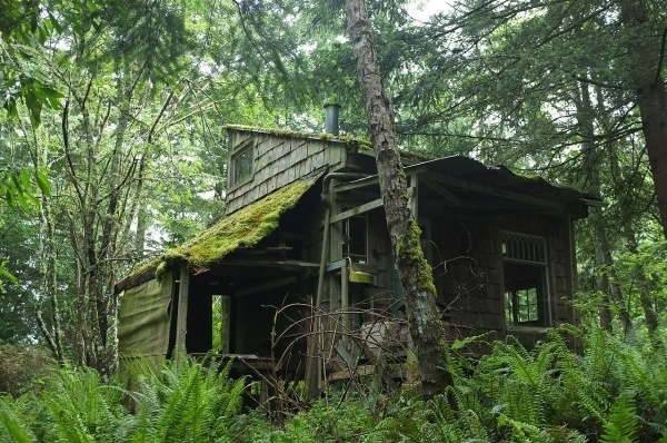 Cabin Porn #cabin #forest