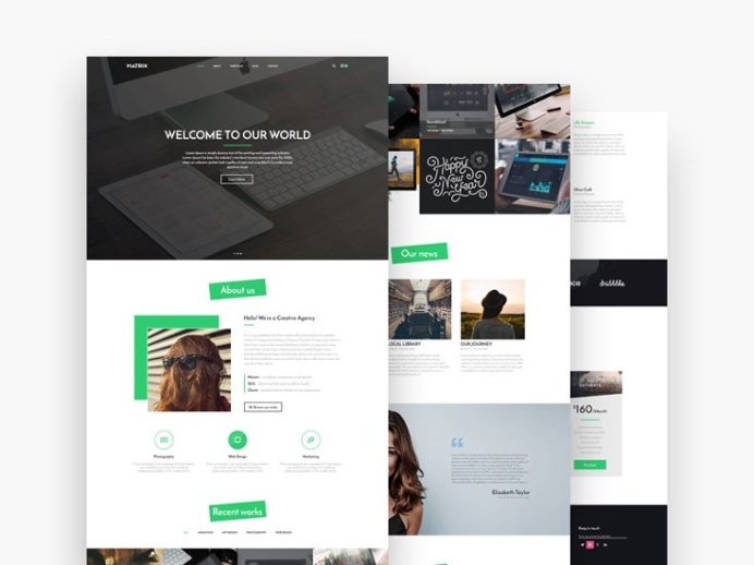 Matrix : Elegant Landing Page Template