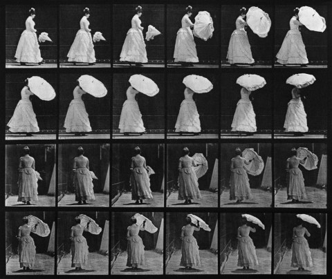 Eadweard Muybridge | PICDIT #photo #photography #black