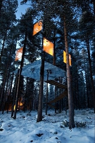 FFFFOUND! | transport of ambitious vanity, dkoder: Treehotel /via ISO50 Blog #mirror #architecture #treehouse #tree