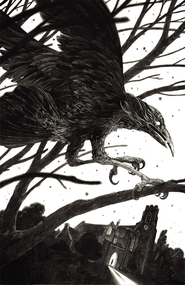 Nicolas Delort - Illustration - Main Gallery #crow #nicolas #delort