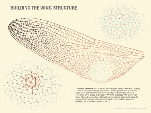 Building the wing structure #mathematics #geometry #voronoi #pattern