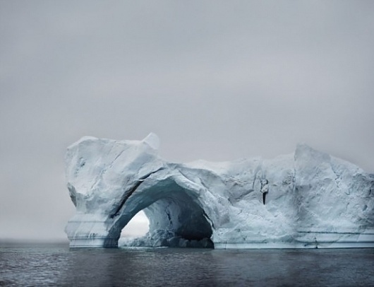 Google Reader (148) #ice