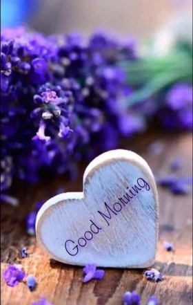 473 Best good morning photos by sonusunariya | HappyShappy