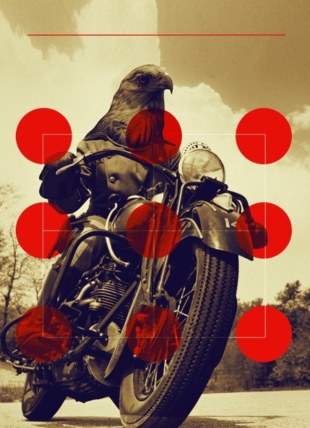 Ride wild.