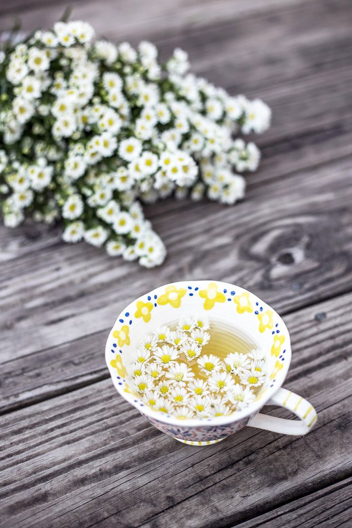 Daisy photo by Maria Shanina (@mariashanina) on Unsplash