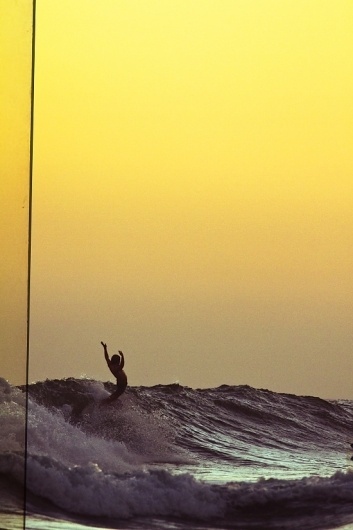 http://thesealife.com.au/home.aspx #photo #yellow #surf