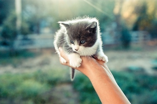 Untitled on we heart it / visual bookmark #15562581