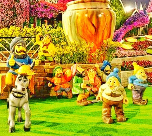 Dwarfs' Sizes at the Dubai Miracle Garden - 2.5 to 3 feet in height. Each dwarf is a separate character at the Dubai Miracle Garden. Dwarfs were only part of the Dubai Miracle Garden in its Season 7 (2018).