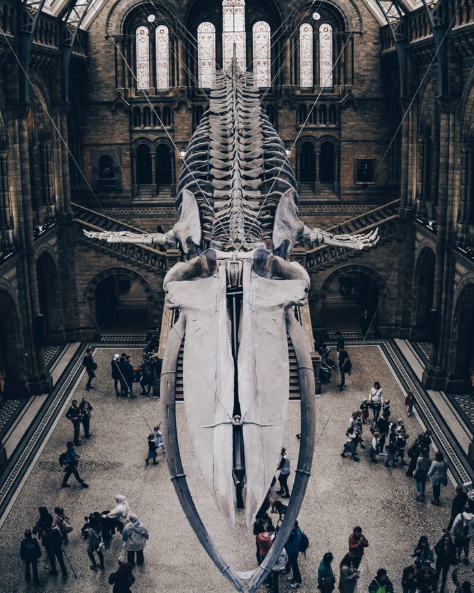 Natural History Museum, London, United Kingdom