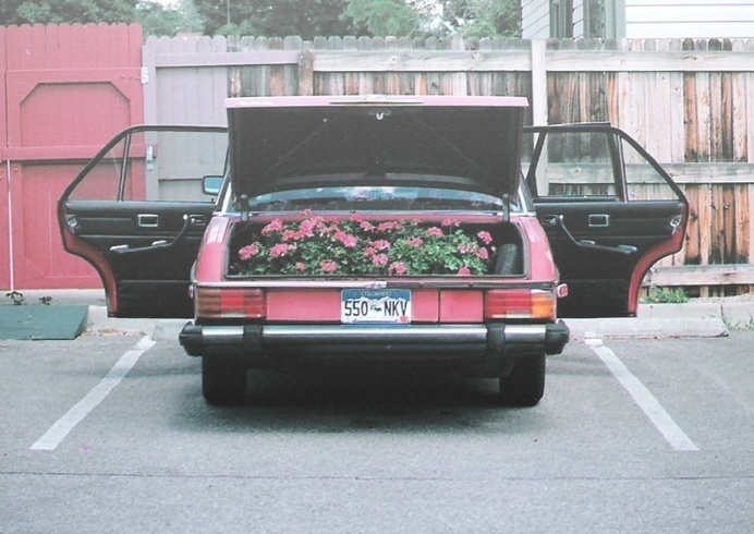 Young and Hip Photos by Eleanor Hardwick - JOQUZ #pink #photography #art #fine