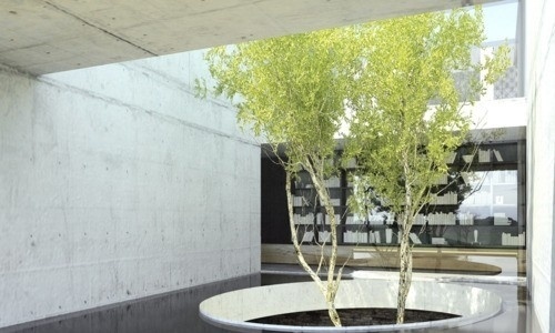 architecture / casa CO | 2011 www.artspazios.pt #architecture #house #artspazios #rendering
