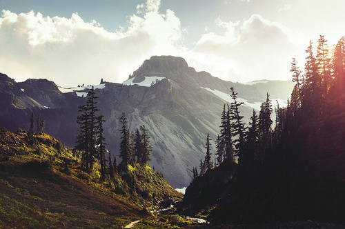 Mountains and trees #photography #mountains #landscape
