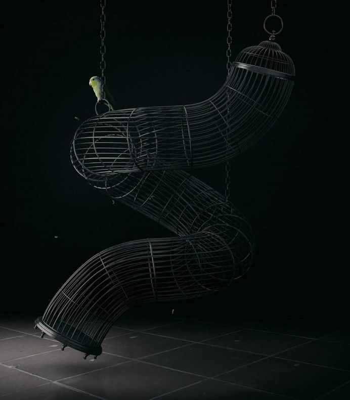 Free Bird: Creative Photo Manipulations by Mike Campau
