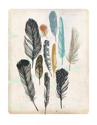 il_fullxfull.195097849.jpg 535×692 pixels #digital #illustration #drawing #feathers