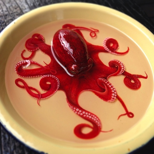 Hyperrealistic Animals Made From Painted Layers of Resin by Riusuke Fukahori #art