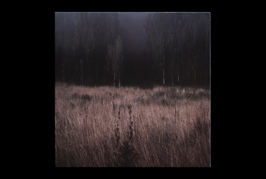 Hardformat » Plant43 – Burning Decay #photography