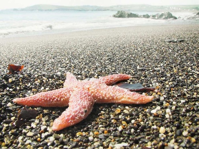 South West Ireland by Claire Droppert