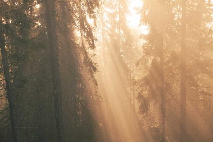 Beautiful and Dreamlike Photography by Isabella Stahl