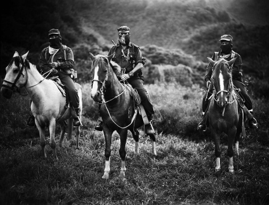 THEM THANGS #horse #white #black #photography #and