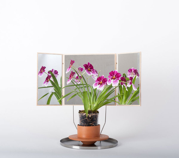 THE PHYTOPHILER | A R T N A U #flower #garden #home