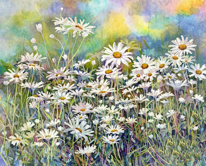 daisy painting & daisy paint by number #painting