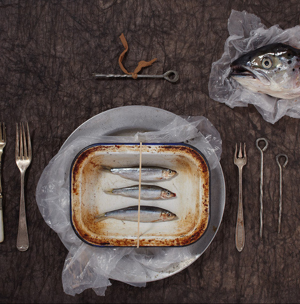 Food Photography by Ania Wawrzkowicz #inspration #photography #art