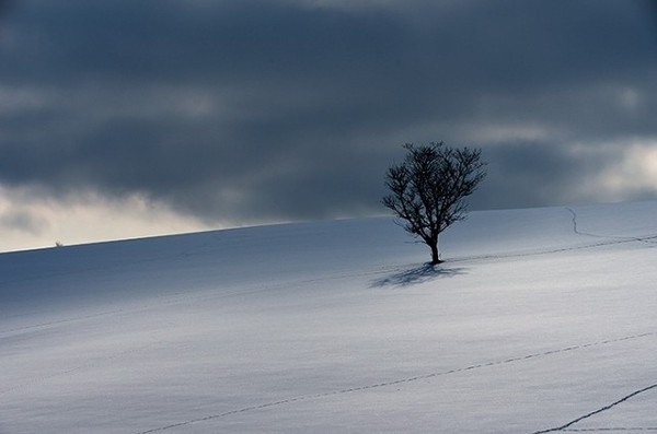 Landscape Photography by Oh Kobayashi #inspiration #photography #landscape