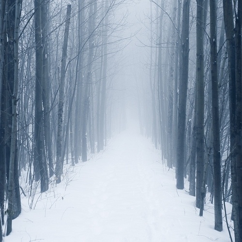 Quatres Saisons Québécoises | Beware Mag | Beware Mag #photography #winter