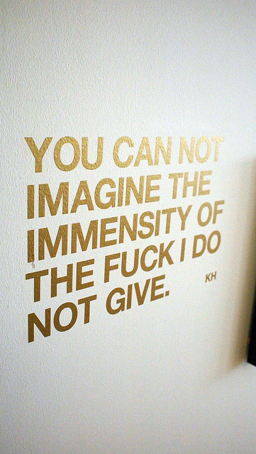 The f*ck I do not give #immensity