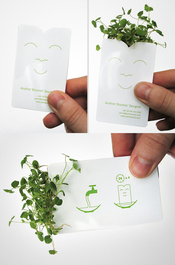 Designers-Seed-Packet-Business-Card.jpg (605×912)