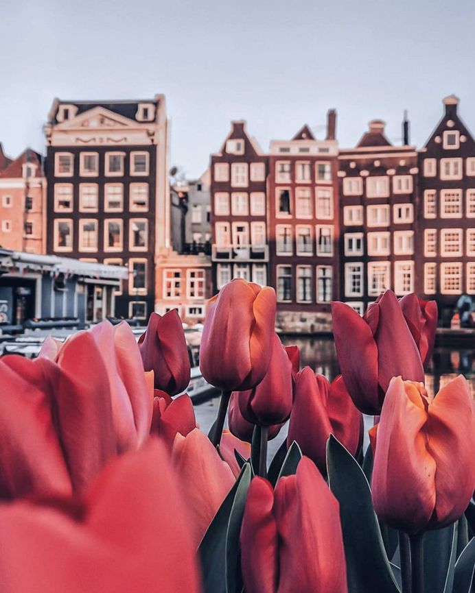Stunningly Beautiful Street Photos of Amsterdam by Een Wasbeer