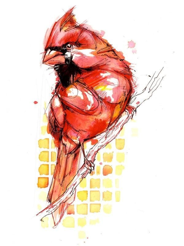 Watercolor birds by Abby Diamond #birds #watercolor #abby #diamond