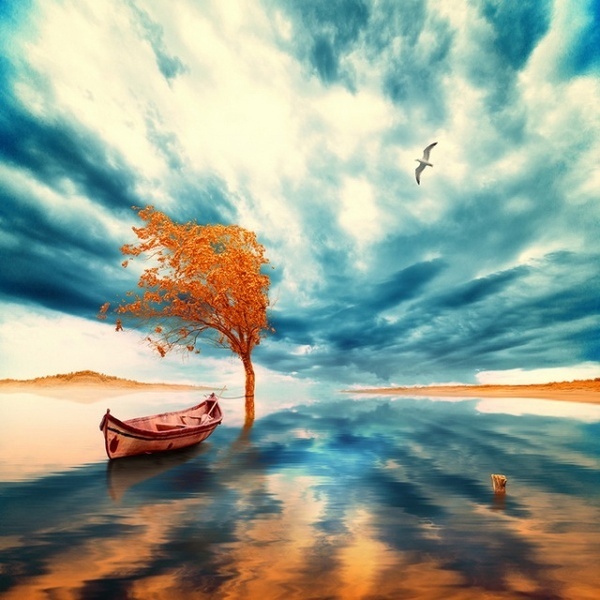Manipulations by Caras Ionut #photography #manipulations #art
