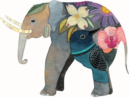coqueterías - (via laboomeria) #illustration #elephant