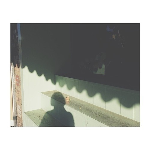 Cortney Cassidy #shadows