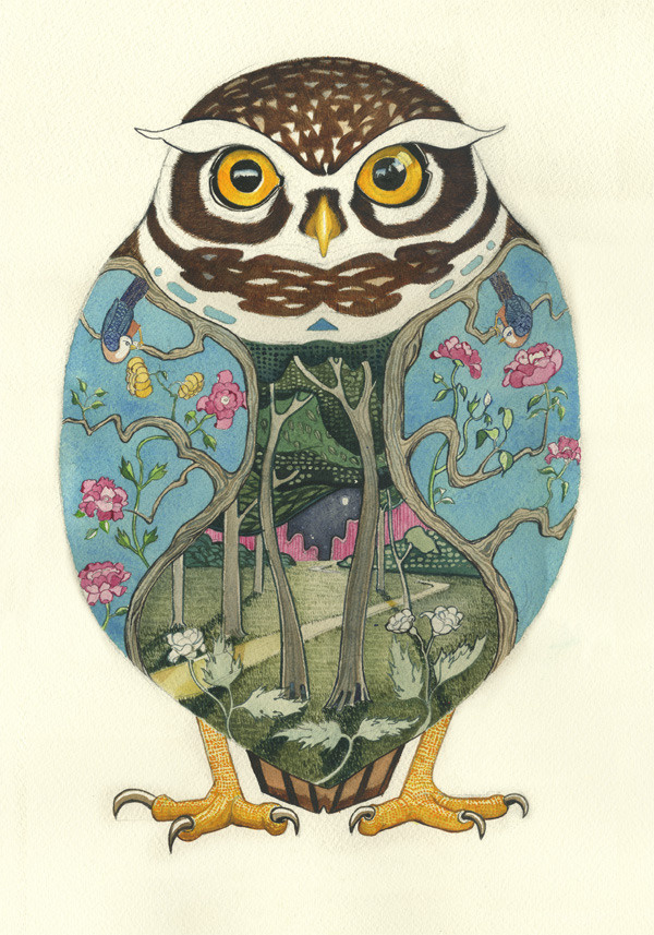 Image of Little Owl Print #illustration #colour #water #owl