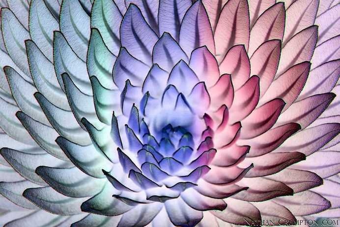 Abstract Photography by Nathan Ikon Crumpton #inspiration #abstract #photography