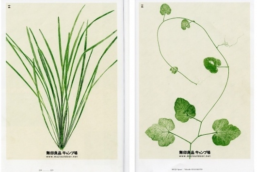 poster3.jpg 1600 × 1074 pixels #leaf #nature #poster #muji #plant