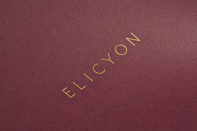 Elicyon branding deluxe luxury beaty corporate design stationery design two times elliott london UK mindsparkle mag logo logotype red borde